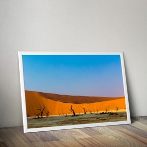 quadro namibia deserto
