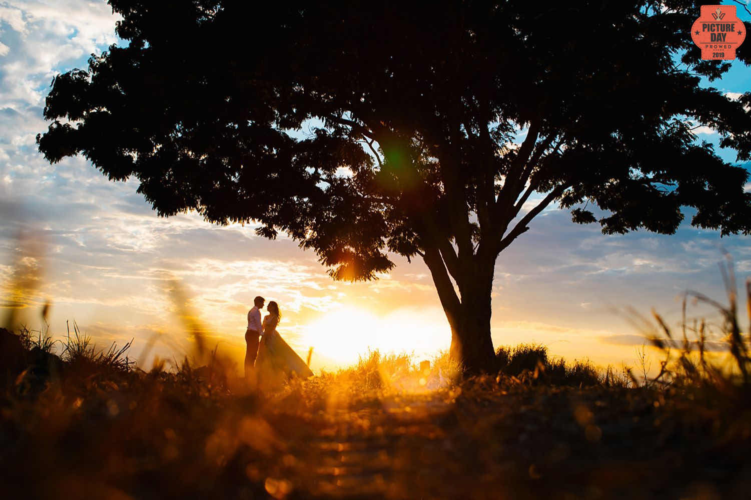 elopment wedding