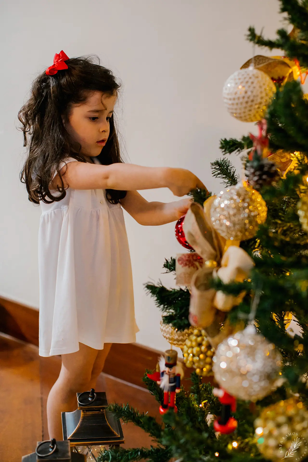 Decoração natalina e doces artesanais em ensaio de família realizado em casa